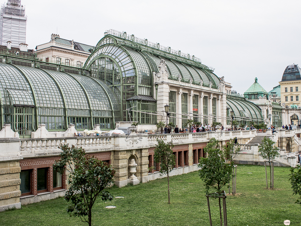 Wien in 24 Stunden Travelguide Tipps Reisetipps Schmetterlingshaus Palmenhaus Hofgarten
