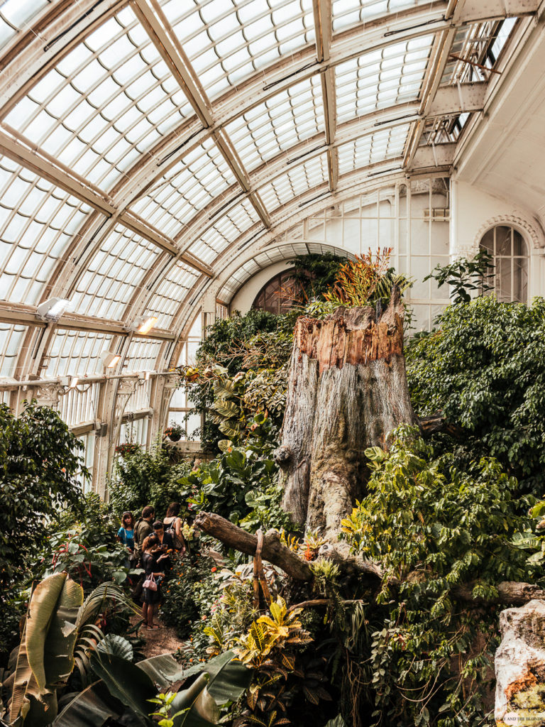 Wien in 24 Stunden Travelguide Tipps Reisetipps Schmetterlingshaus Hofgarten