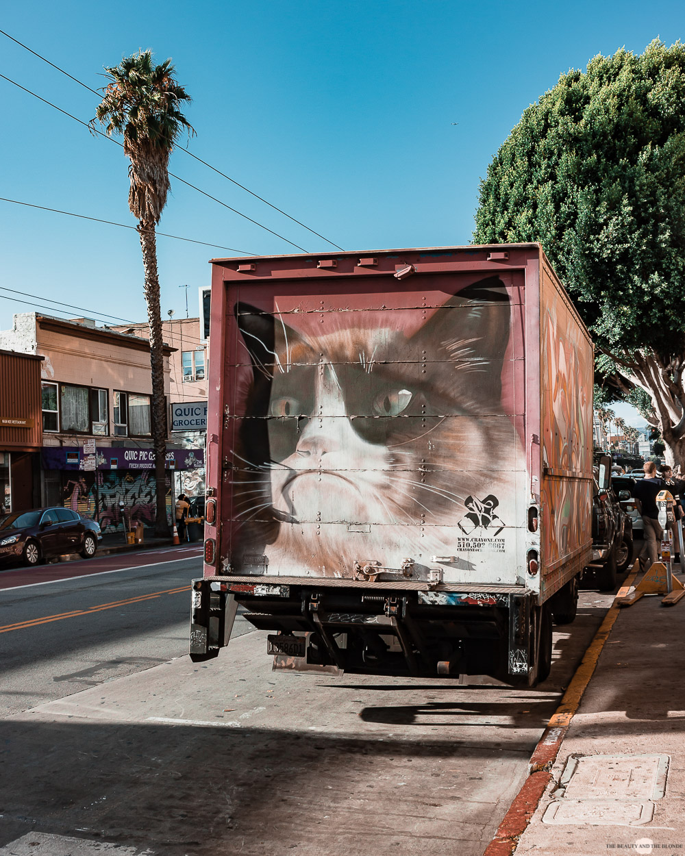 San Francisco Mission District Murals