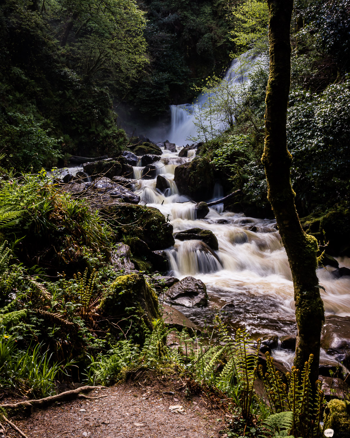 Irland Roadtrip Torc Waterfall Ring of Kerry