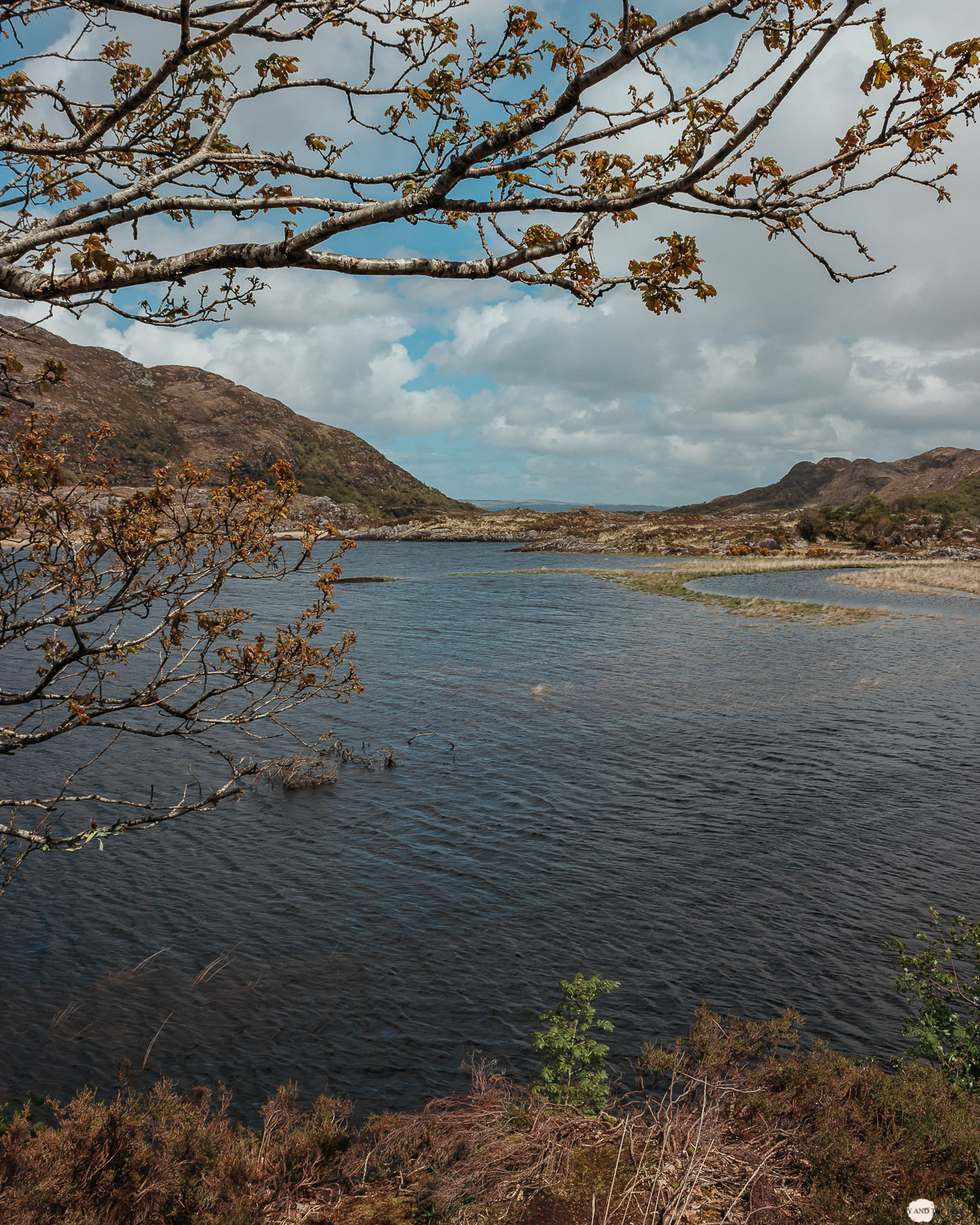 Irland Roadtrip Ring of Kerry