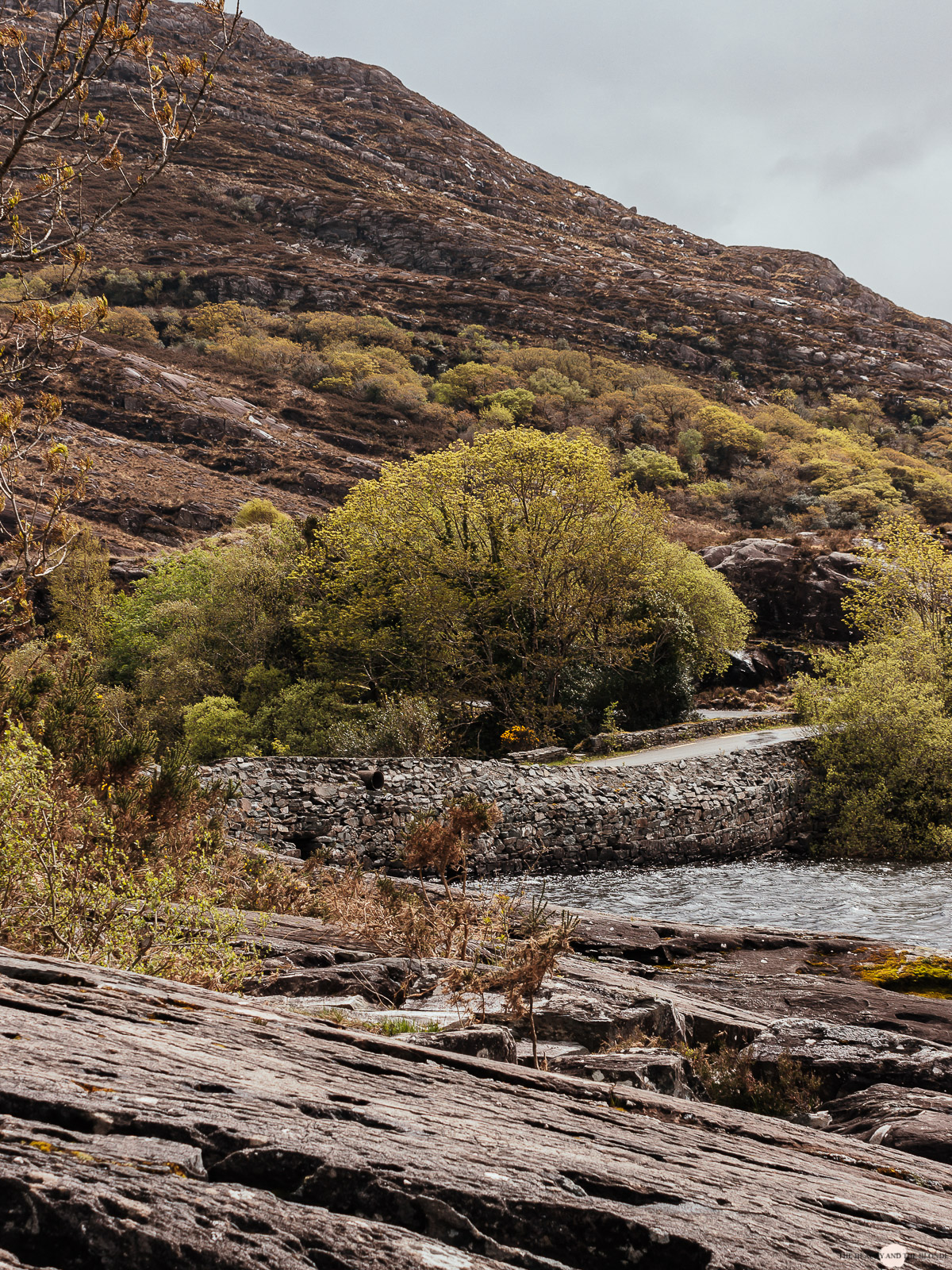 Irland Roadtrip Ring of Kerry