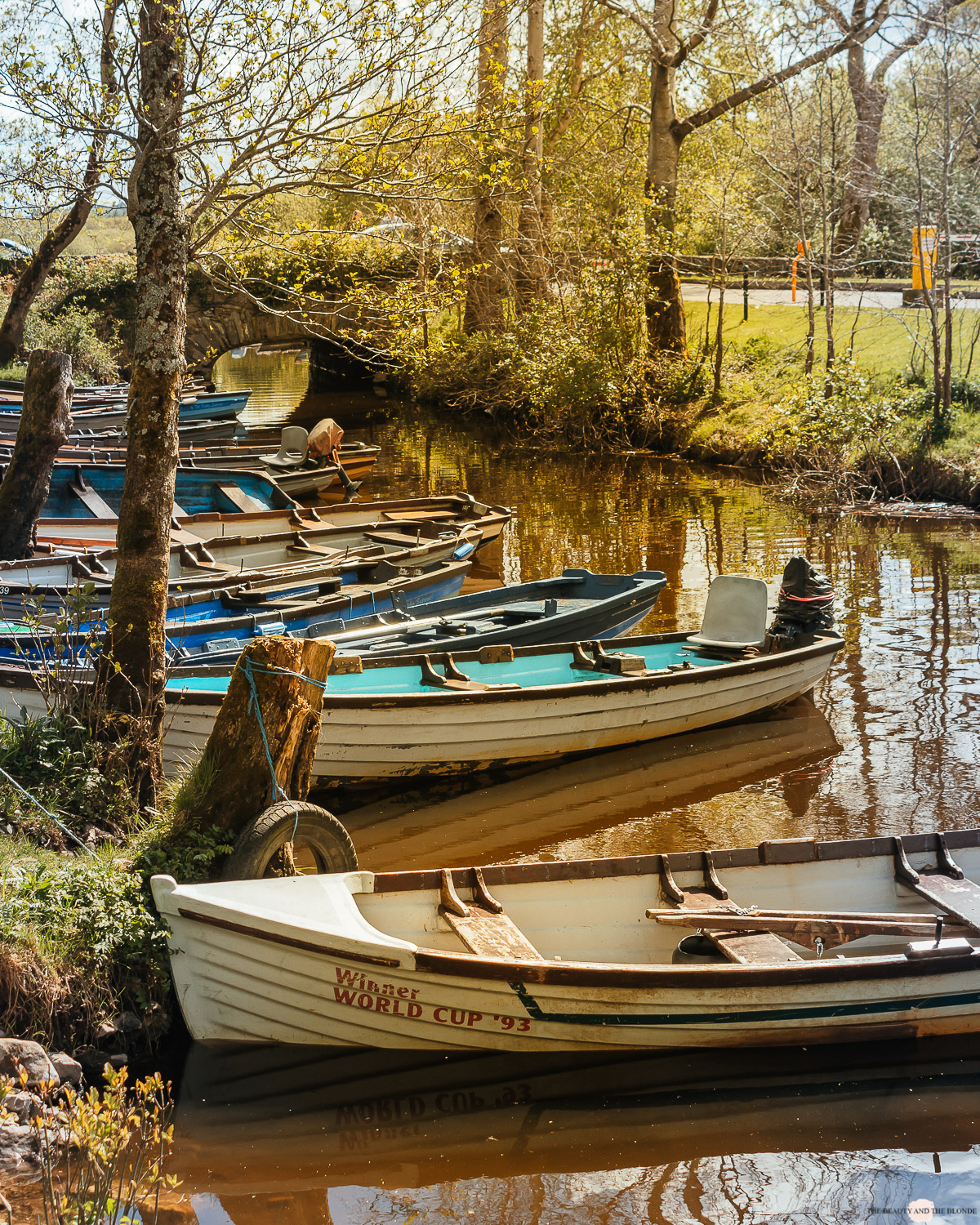 Irland Roadtrip Killarney Ross Castle Boats