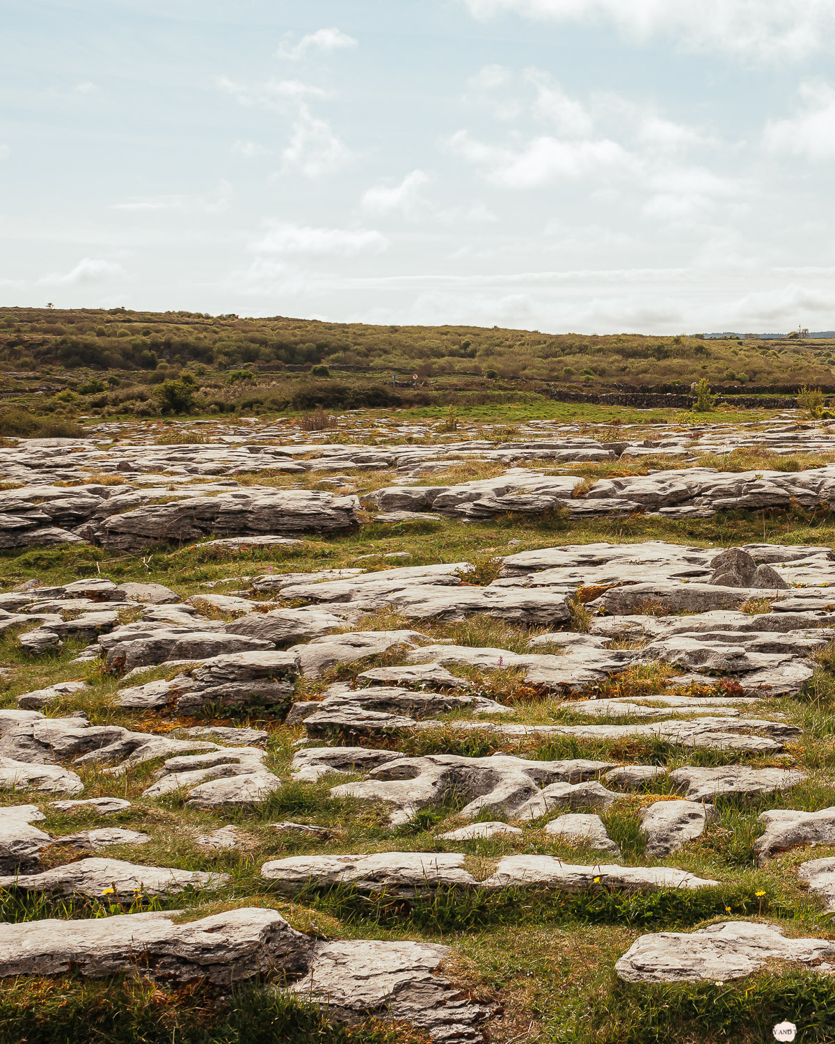 Irland Roadtrip The Burren